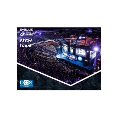 HAVIT ESPORT Gaming Musemåtte. 25x21 cm.