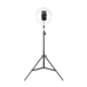 Havit ST7012 Pro Tripod med Ring Light. Perfekt Belysning til Dit Content Havit ST7012 Pro Tripod med Ring Light. Lys til dit content