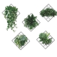 Plante wallsticker. Hyggelig og flot dekoration med 5 stk stedsegrønne planter. Plante wallsticker. Dekoration - 5 stk stedsegrønne planter.