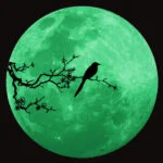 Stor selvlysende måne wallsticker. 34 cm. Fugl. Mobil, PC og tablet tilbehør